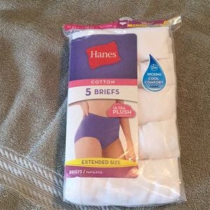 NWOT women’s plus Hanes briefs